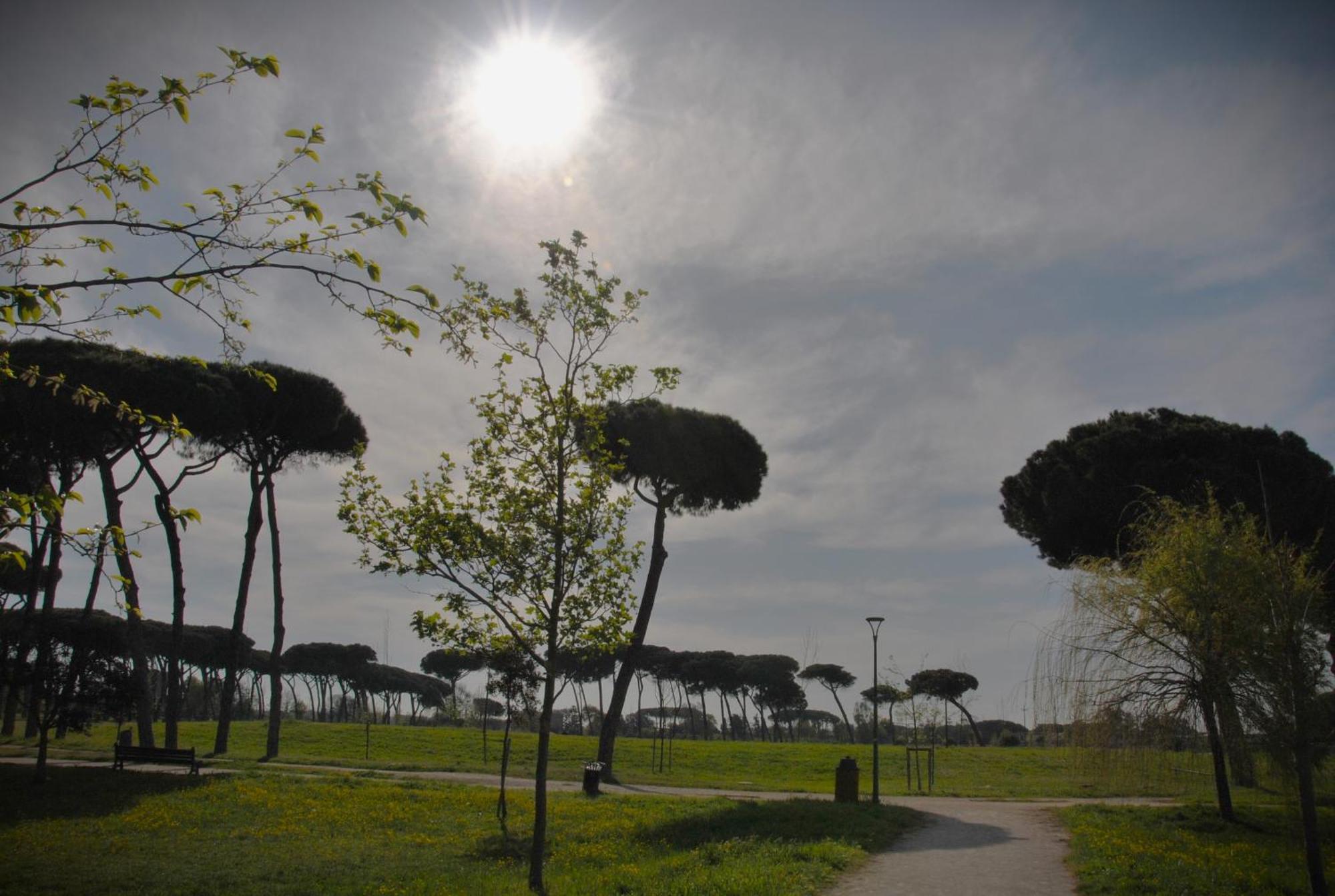Alloggio Di Giorgia Fiumicino Extérieur photo
