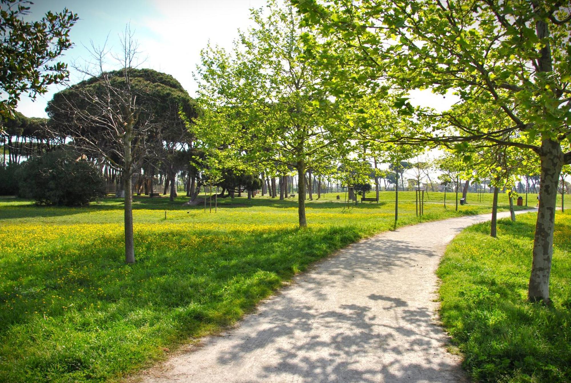 Alloggio Di Giorgia Fiumicino Extérieur photo